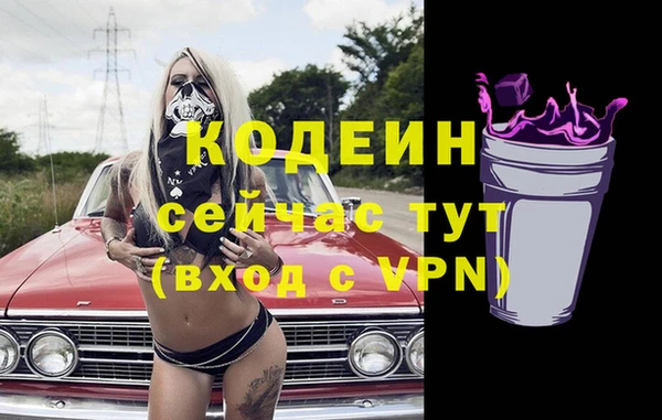гашик Березники