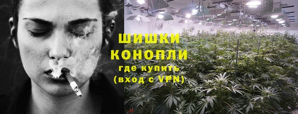 гашик Березники
