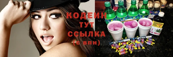 гашик Березники
